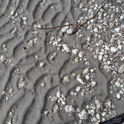 sand ripples rocks lakeshore
